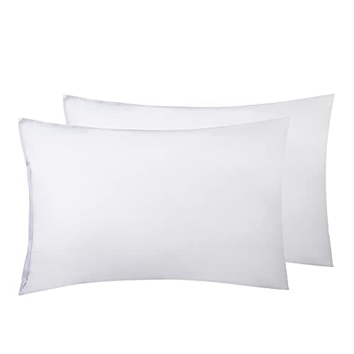 Elaine Karen Zippered Vinyl Waterproof Pillow Protector, 2 Pack