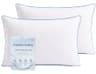 Hylnosia 100% Tencel Lyocell Zippered Pillow Protector, 2 Pack