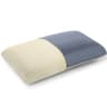 Talalay Firm Talalay Latex Pillow, Slim, with Ice-Silk Cover