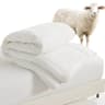 HOMBYS Lightweight Wool Comforter, 100% Australian Wool Filling 120gsm, 60s Cotton Shell