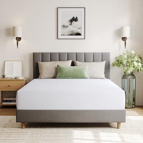 EGOHOME 10 Inch Memory Foam Mattress with Green Tea Gel
