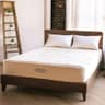 Ethical Mattress CO 10 Inch Hybrid, Organic Cotton, Wool, Latex and Pocketed Coils