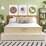 COTTON SLEEP 11 Inch Organic Mattress with GOLS Natural Latex, GOTS Cotton and Wool, Pocket Coils