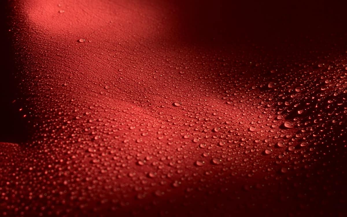 Water beading on a fabric surface instead of soaking into it