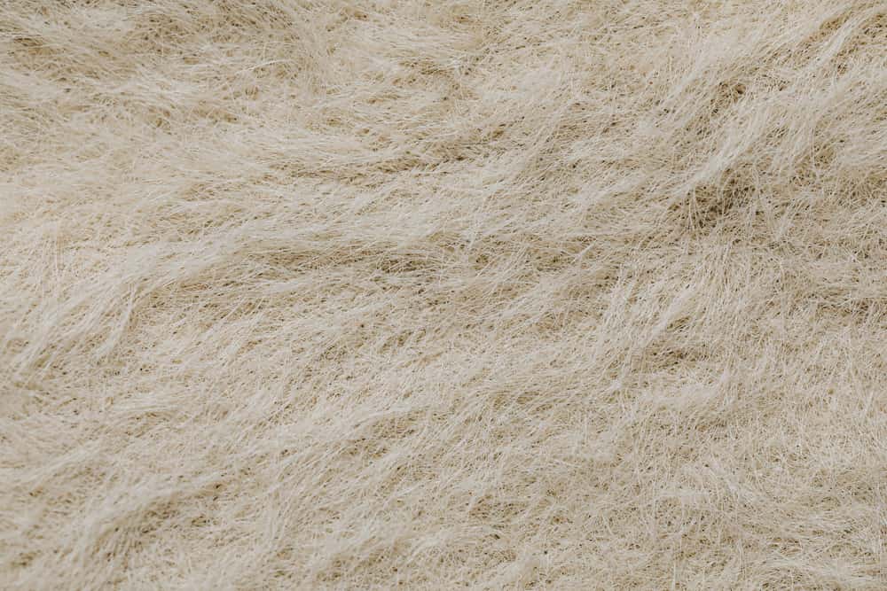 Macro photograph of cotton textile fibers